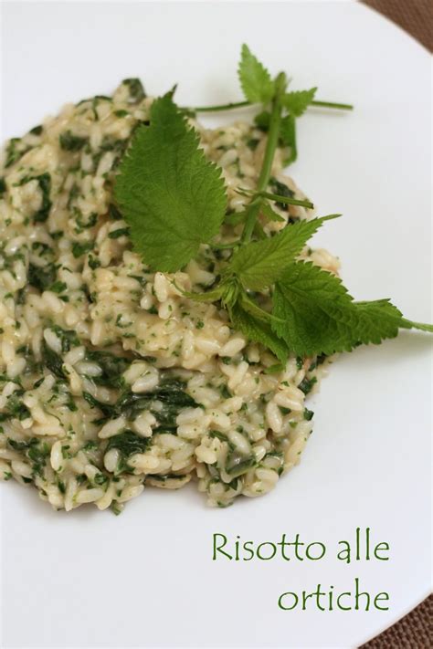 Il risotto alle ortiche è una preparazione particolare, molto semplice e gustosa. Risotto alle ortiche | Un Pinguino in cucina