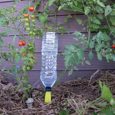 accumuler Biens Pillage bouteille plastique pour arroser plantes serré chant Mal