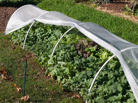 Maybe you would like to learn more about one of these? Protective Devices for Fall and Winter Vegetable Gardens ...