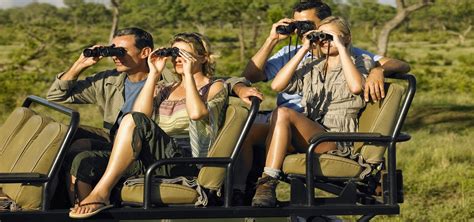 Kruger Tours The Best South Africa Safari Adventures