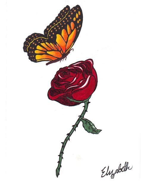 18 Butterfly Drawings Art Ideas Design Trends Premium Psd Vector