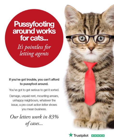 Pussyfooting Around Works For Cats Its Pointless For Letting Agents