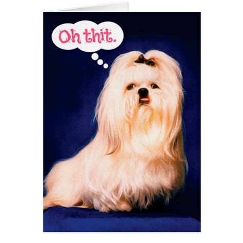 Funny Maltese Dog With Lisp Belated Birthday Card Zazzle