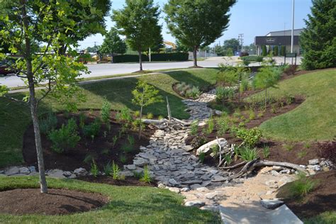 Collect and re use rainwater best4hedging. What Is A Rain Garden, Exactly? (3 Types of Rain Gardens ...