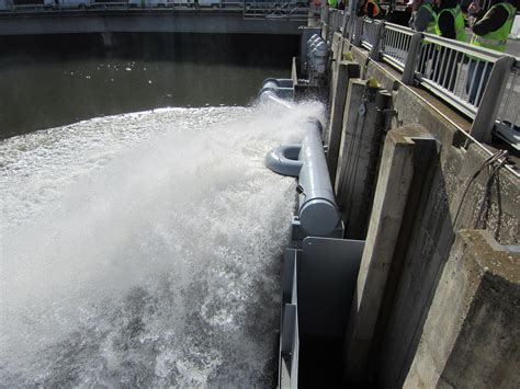Fish Ladders On Dams