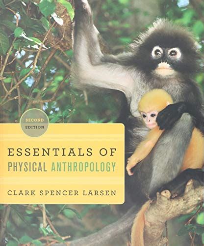 Essentials Of Physical Anthropology Discovering Our By Clark Spencer
