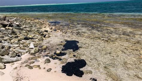 Oil Spill From Trinidad And Tobago Impacts The Los Roques Archipelago