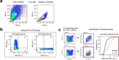 Flow Cytometry Gating Strategy For Btx 647 Surface Labeling