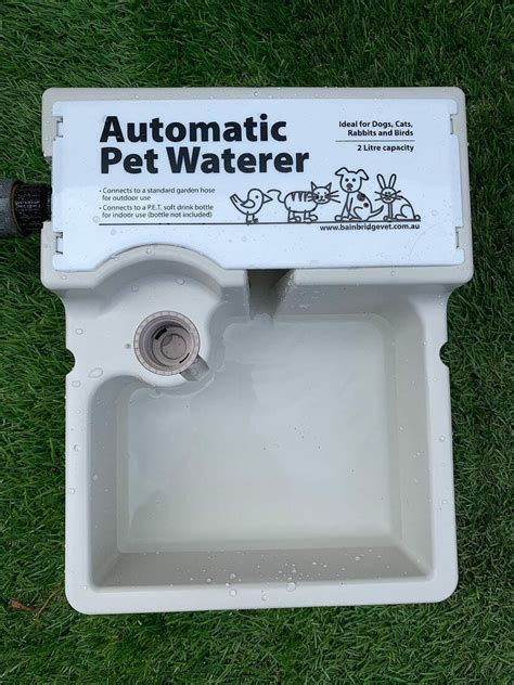Automatic Dog Waterer Large Range Of Waterers Available