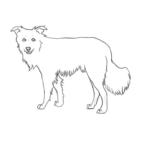 Border Collie Lineart By Iheartpompoms On Deviantart