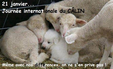 A l'occasion de la journée mondiale du câlin, metropolys est parti distribuer des câlins sur la grand place de lille. Journée câlins | abenchaalors.fr