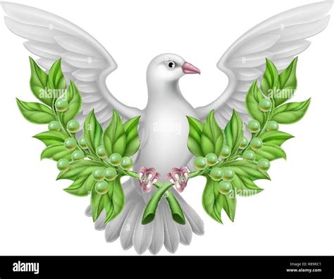 White Dove Peace With Olive Branch Stock Vector Image And Art Alamy