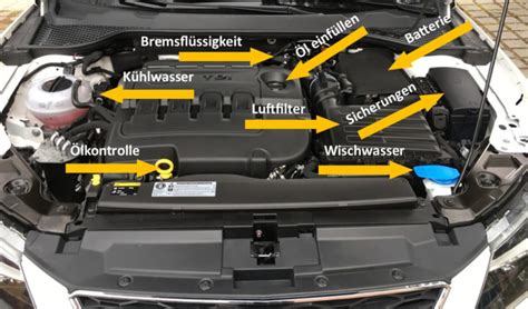trotz Ungehorsam Spezialisieren praktische prüfung fragen reifen