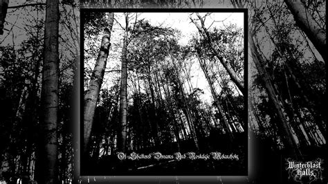 Garden Of Grief - 04. Into the Vale of Dreams (Denied Sanctuary Part 1