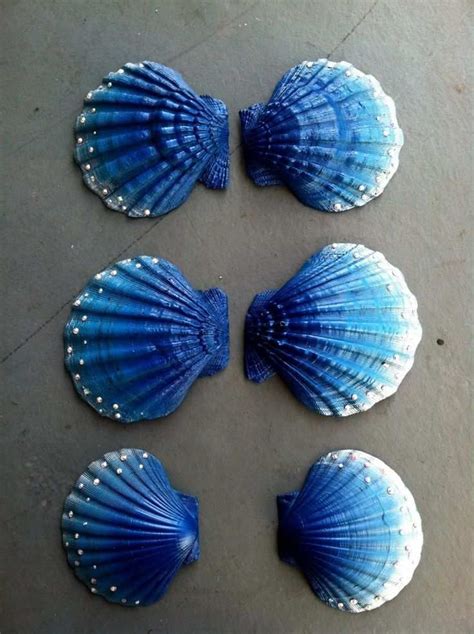 Shell Painting Ideas Awesome 17 Best Images About Painted Sea Shells On