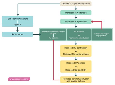 Pathophysiology Of Pulmonary Embolism Hot Sex Picture