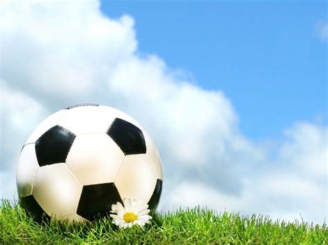 Free Download Soccer Ball Wallpapers 2560x1600 For Your Desktop