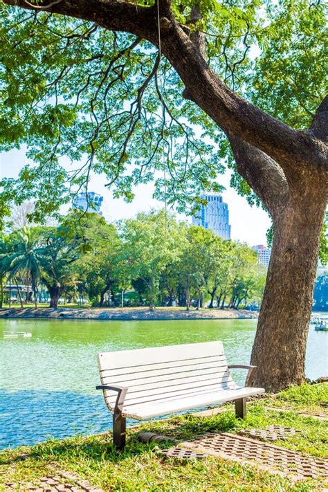 Park Bench Under Big Tree Overlooking The Water Or Lake Stock Photo