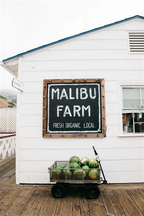 Malibu Farm: Breakfast at the Malibu Pier - Bikinis & Passports | Malibu farm, Malibu pier, Malibu