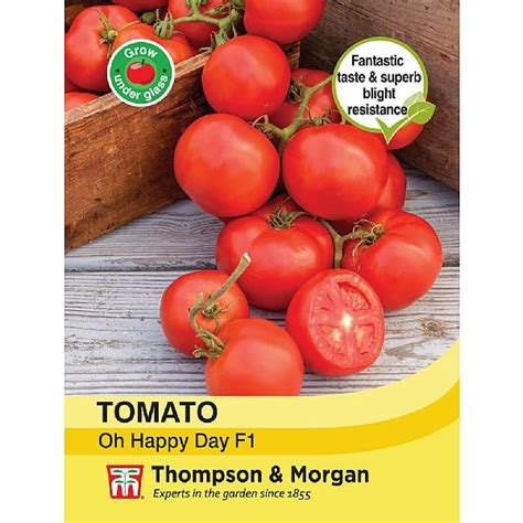 Thompson And Morgan The Taste Of Italy Tomato Cuore Di Bue Albenga Alto