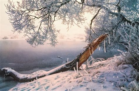 Wallpaper 2000x1306 Px Cold Frost Landscape Mist Morning Nature