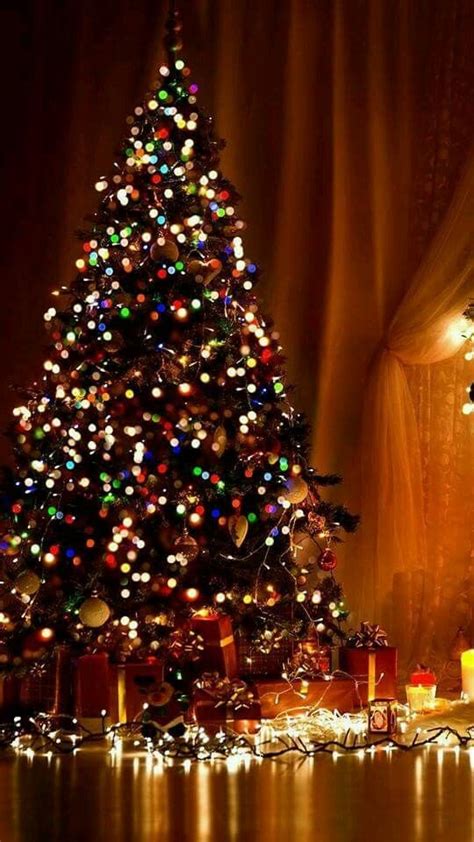 Whether you want something seasonal and festive or you're all about the trendsetting pastel and neon vibes, these background ideas will help you figure out your ideal aesthetic. Christmas tree with colorful lights | Christmas tree ...