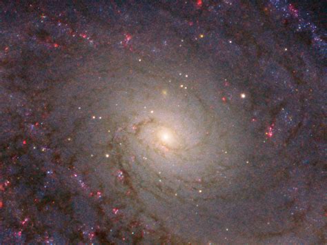 Hubble Captures Grand Spiral Ngc 5364