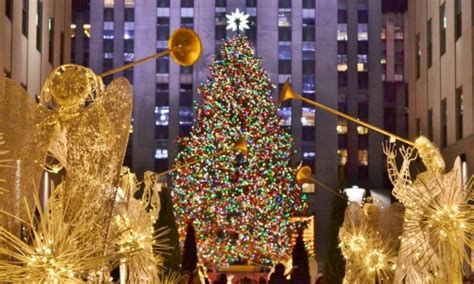 Origen Del árbol De Navidad Y Sus Tradiciones En La Historia