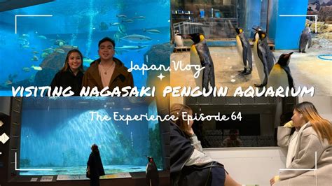 We Finally Made It To The Nagasaki Penguin Aquarium 🐧 L The Experience