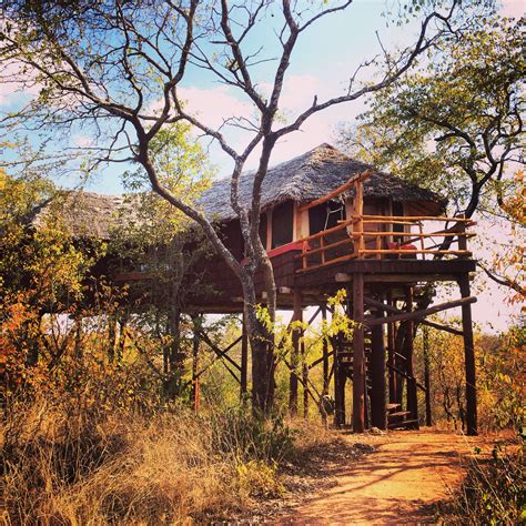 Tarangire Treetops Lodge Tanzaniaeast Africa Luxury Safari Lodge