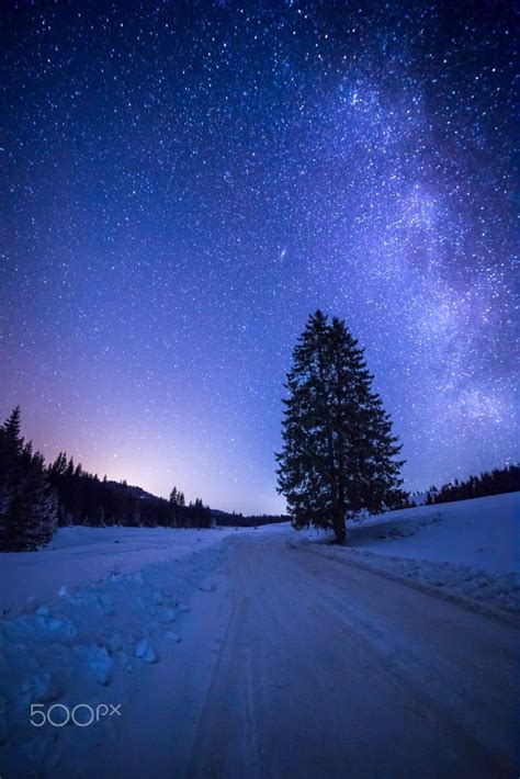 Clear Cold Night In Covasna By Tinu Coman Trees Sky Winter