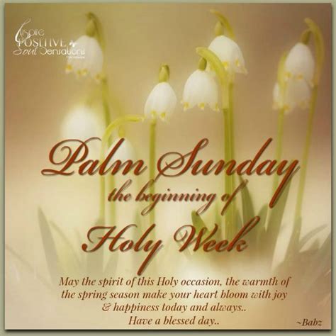 Palm Sunday The Beginning Of Holy Week Daily Quotes Pinterest