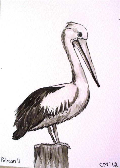 See more ideas about drawings, ink drawing, ink. Pelican Pic Drawing | Drawing Images | Pelican art ...