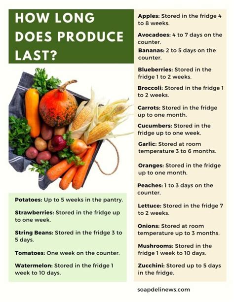 How to pick the best cantaloupe? How Long Does Produce Last? Plus How to use Produce to ...