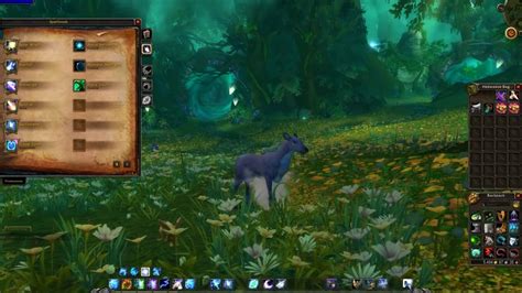 New Glyph Of The Doe Druid Travel Form And How To Get It Youtube