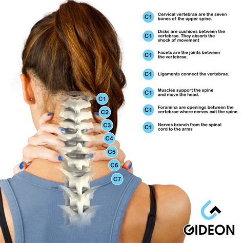 Gideon™ Cervical Neck Traction Device Therapy