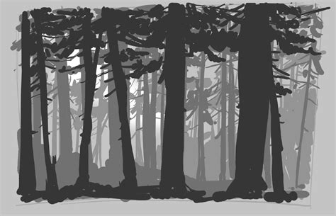 How To Draw A Forest Video John Muir Laws