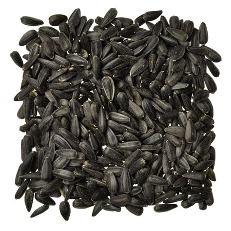 Black Oil Sunflower Seed 2 Lb 50 Lb