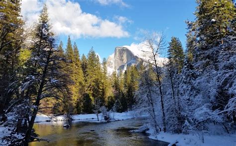 10 Reasons Winter In Yosemite Is Magical The Redwoods In Yosemite
