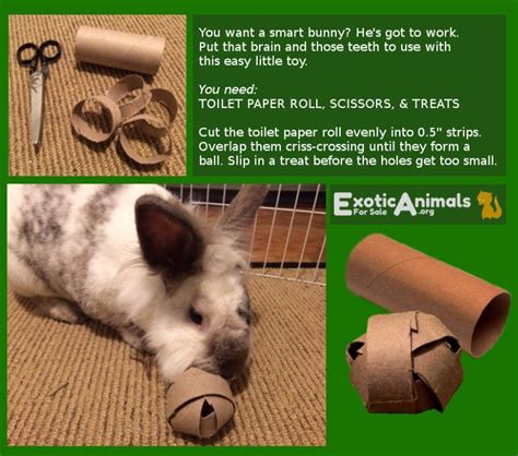Bunny Food Ball Diy Bunny Rabbit Toys That Are Cheap And Easy To Make