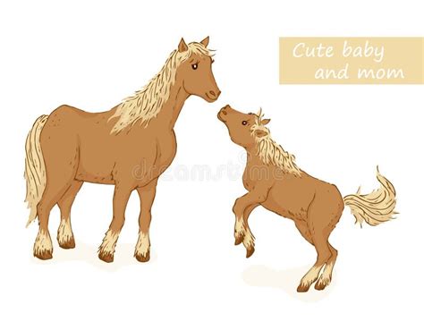 Horse And Foal Clipart