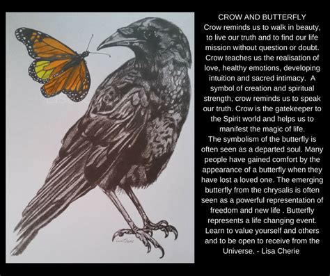 Butterfly And Crow By Lisa Cheries Art Black Crow Tattoos Crow