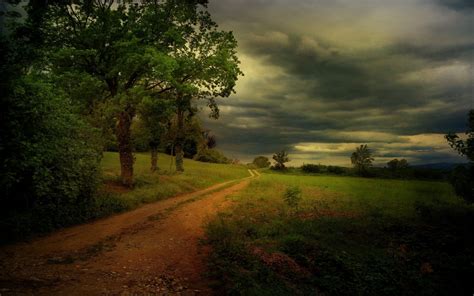 Wallpaper Sunlight Trees Landscape Forest Sunset Hill Nature