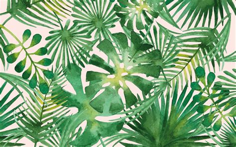 Palm Leaf Wallpapers 4k Hd Palm Leaf Backgrounds On Wallpaperbat