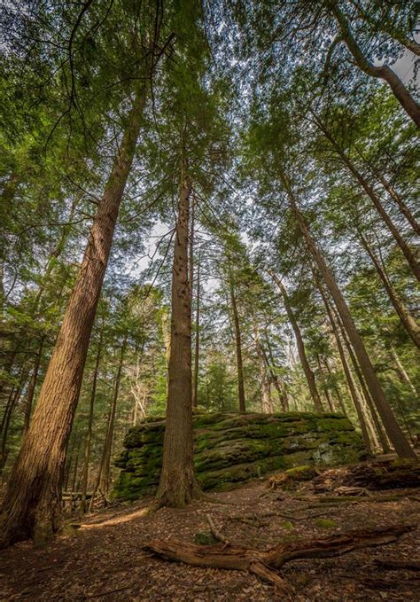 We are continually updating our facility, clearing new trails, and serving you the best down home cooking in the east. Free Things To Do - PA | Visit PA Great Outdoors
