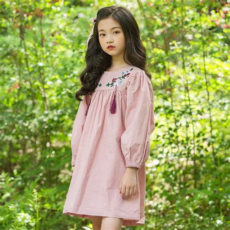Girl Embroidery Dress Long Sleeve Fall Cotton Dress 2018 Girls Size 12