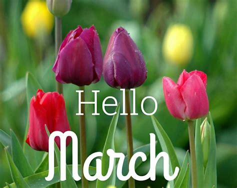 Pin By Natalie Backstrom On The Pampered Chef Happy March Hello