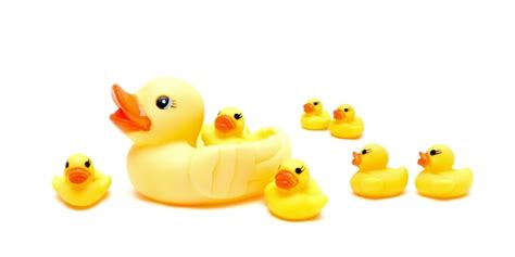 Premium Photo Group Yellow Rubber Ducks Isolated On White Background