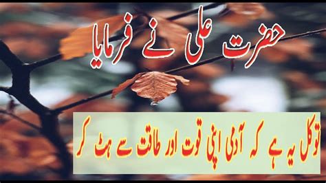Beautiful Quotes Of Hazrat Ali In Urdu Hazrat Ali Ke Aqwal Zareen