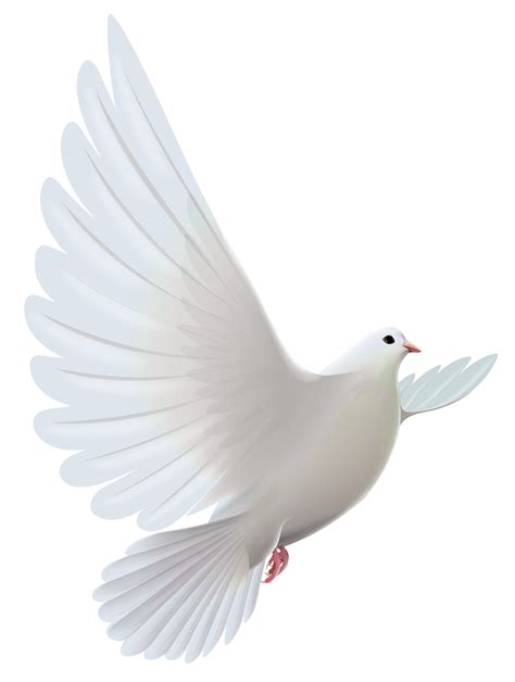 Dove Bird Logo Png